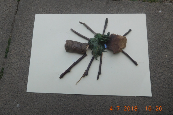 Album photos 2018 – L&rsquo;Oranger AMO (2)