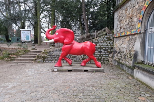 Album photos 2025 – L&rsquo;Oranger AMO (5)